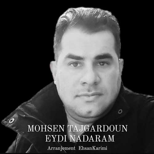 دانلود آهنگ محسن تاجگردون عیدی ندارم دانلود آهنگ محسن تاجگردون عیدی ندارم