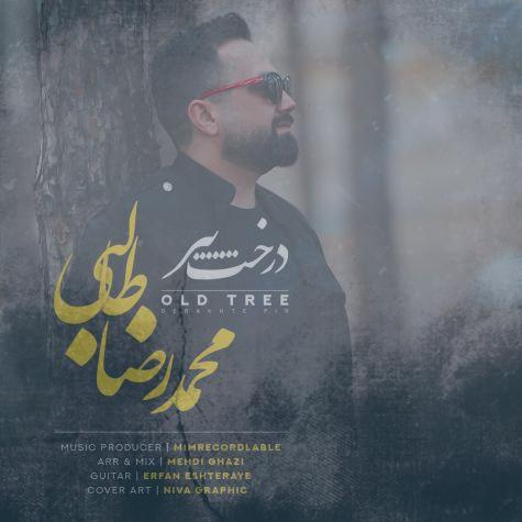 دانلود آهنگ محمدرضا طالبی درخت پیر دانلود آهنگ محمدرضا طالبی درخت پیر