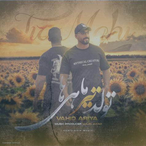 دانلود آهنگ وحید آریا تیر ماهی دانلود آهنگ وحید آریا تیر ماهی