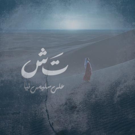 دانلود آهنگ علی سلیمی نیا تش