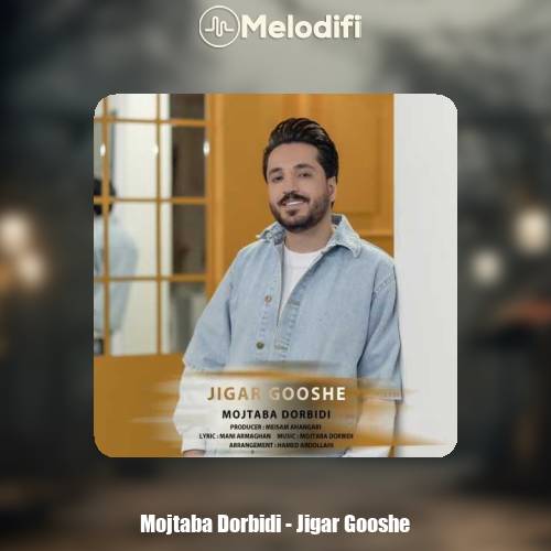 دانلود آهنگ مجتبی دربیدی جیگر گوشه