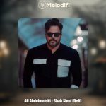 دانلود آهنگ علی عبدالمالکی شب شد (دلی)