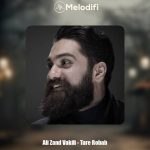 دانلود آهنگ علی زندوکیلی تار رباب