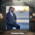 دانلود آهنگ علی زندوکیلی رهایی