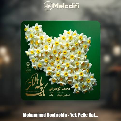 دانلود آهنگ محمد کوهرخی یک پله بالاتر