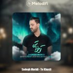 دانلود آهنگ صادق مریدی تو خواستی