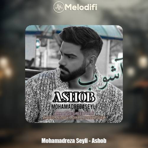 دانلود آهنگ محمدرضا سیلی آشوب