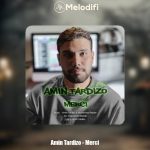 دانلود آهنگ امین تردیزو مرسی