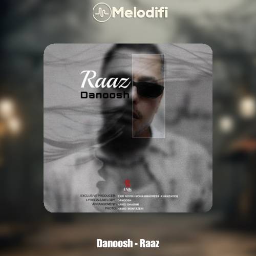 دانلود آهنگ دانوش راز