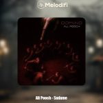 دانلود آهنگ علی پوچ صدمه