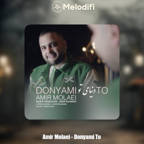 دانلود آهنگ امیر مولایی دنیامی تو