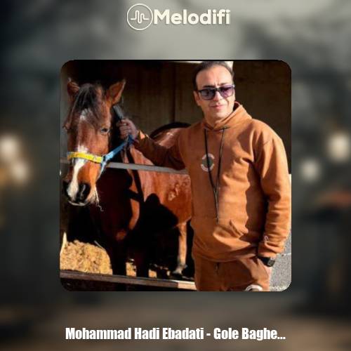 دانلود آهنگ محمد هادی عبادتی گل باغ شیراز