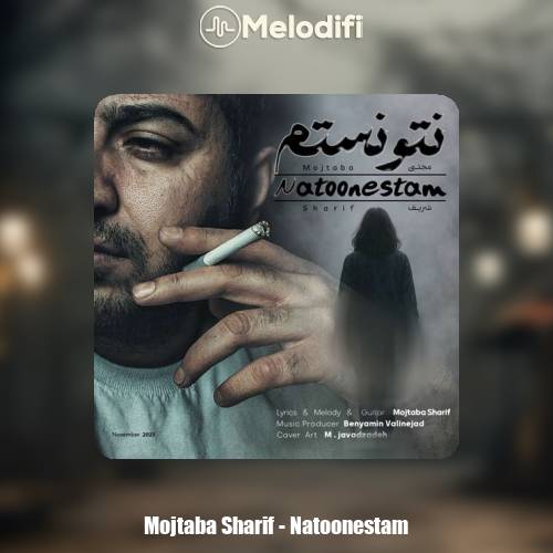 دانلود آهنگ مجتبی شریف نتونستم