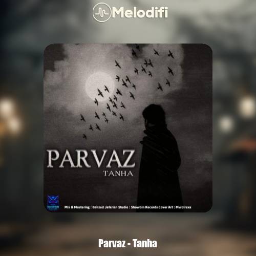 دانلود آهنگ پرواز تنها