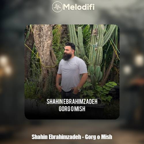 دانلود آهنگ شاهین ابراهیم زاده گرگ و میش