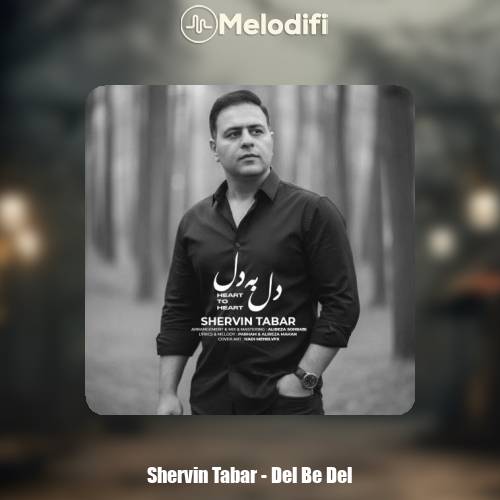 دانلود آهنگ شروین تبار دل به دل