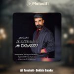 دانلود آهنگ علی توکلی دخت بندر