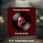 دانلود آهنگ Dj TS3 ریمیکس پرنده مهاجر (سیاوش قمیشی)