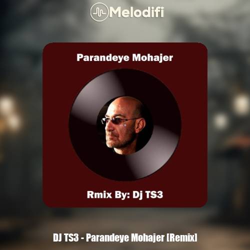 دانلود آهنگ Dj TS3 ریمیکس پرنده مهاجر (سیاوش قمیشی)