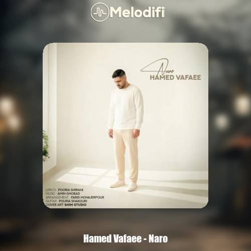 دانلود آهنگ حامد وفایی نرو