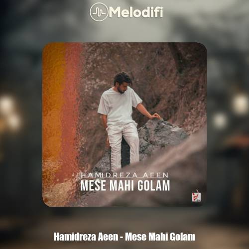 دانلود آهنگ حمیدرضا آیین مثه ماهی گلم