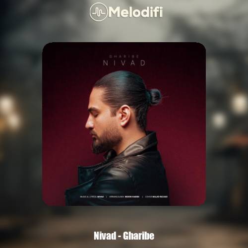 دانلود آهنگ نیواد غریبه