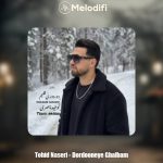 دانلود آهنگ توحید ناصری دوردونه ی قلبم