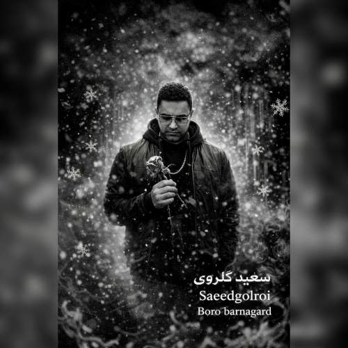 دانلود آهنگ سعید گلروی برو برنگرد دانلود آهنگ سعید گلروی برو برنگرد