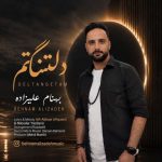 دانلود آهنگ بهنام علیزاده دلتنگم