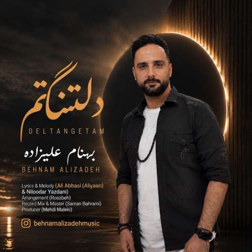 دانلود آهنگ بهنام علیزاده دلتنگم